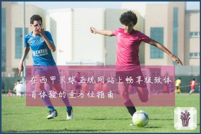 在西甲买球正规网站上畅享极致体育体验的全方位指南