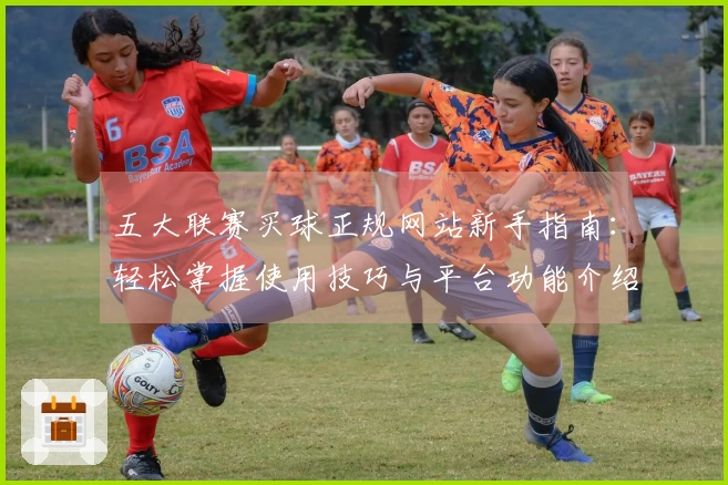 五大联赛买球正规网站新手指南：轻松掌握使用技巧与平台功能介绍