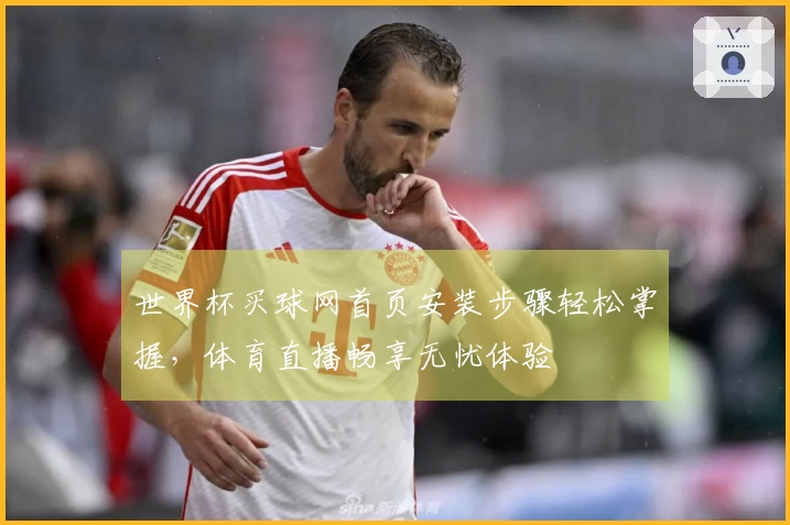 世界杯买球网首页安装步骤轻松掌握，体育直播畅享无忧体验