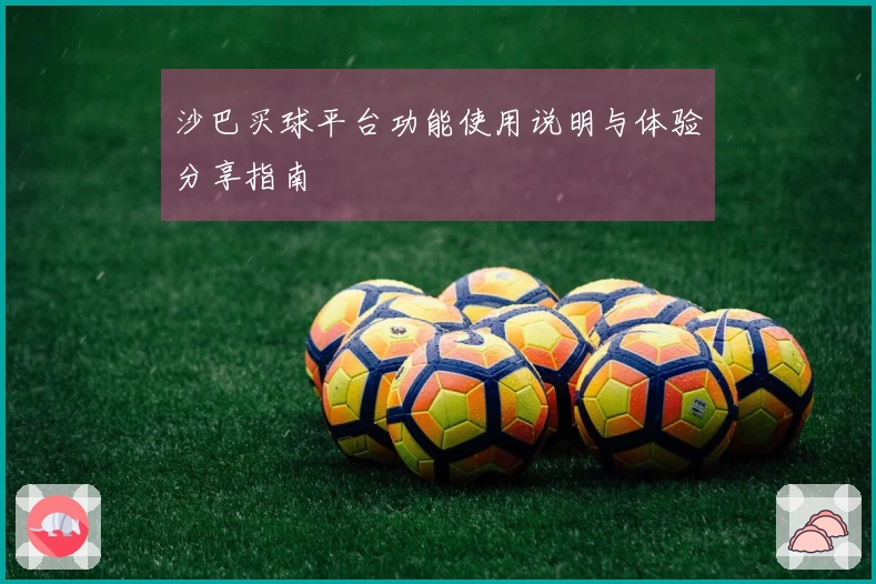 沙巴买球平台功能使用说明与体验分享指南