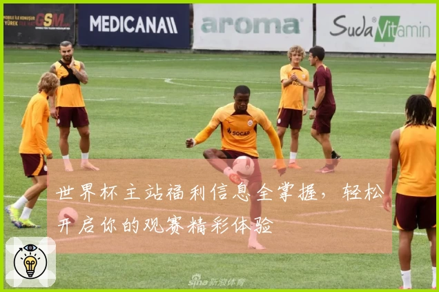 世界杯主站福利信息全掌握，轻松开启你的观赛精彩体验
