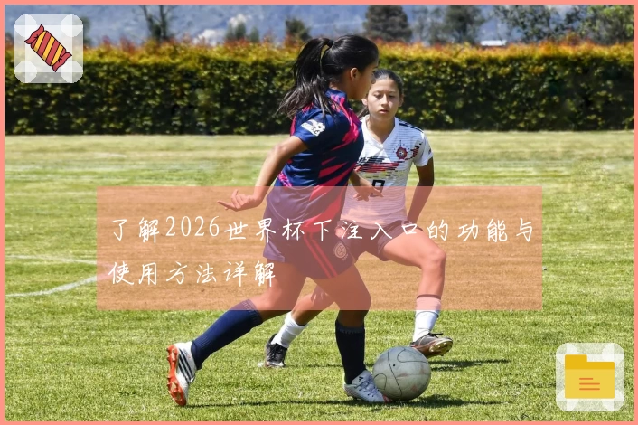 了解2026世界杯下注入口的功能与使用方法详解