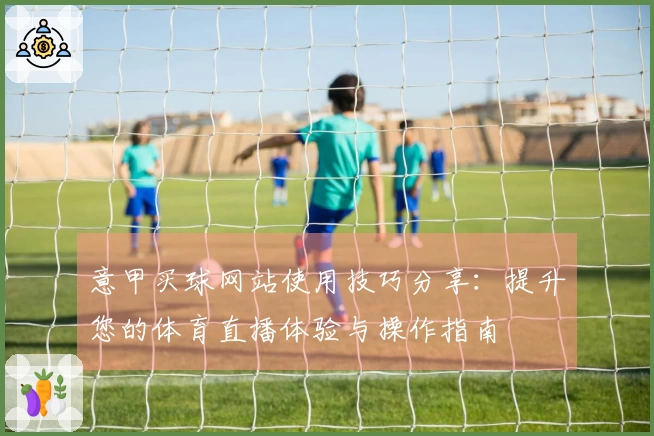 意甲买球网站使用技巧分享：提升您的体育直播体验与操作指南